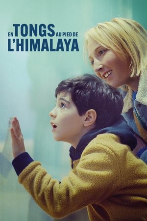 MoviesNation A Mother’s Special Love 2024 Hindi+English Full Movie WEB-DL 480p 720p 1080p Download